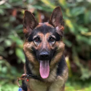 Lua vom Haus Tulpe